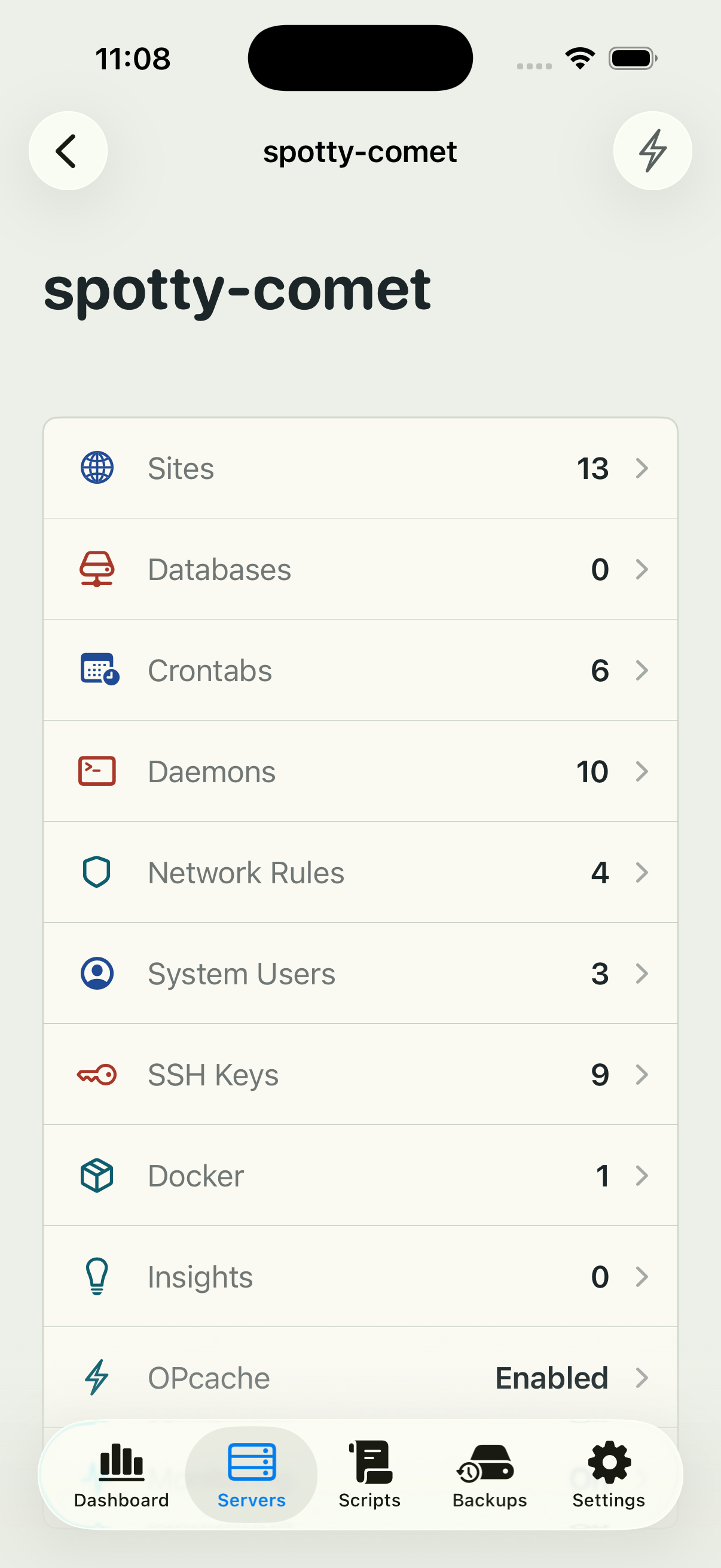Helm server detail screen showing Ploi.io server resources on iPhone